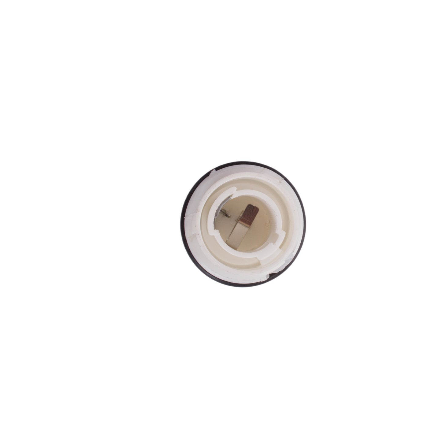 00fc142bca9a98fdc604f018de80c478