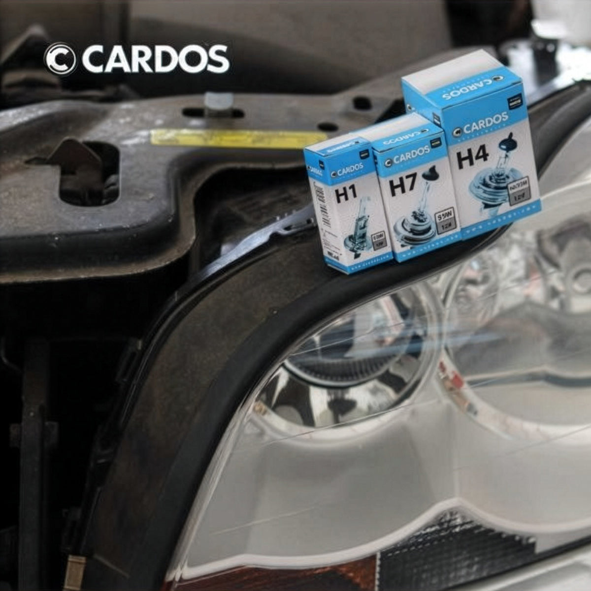 69cc0401a984462d9e5f500f8e7d363e